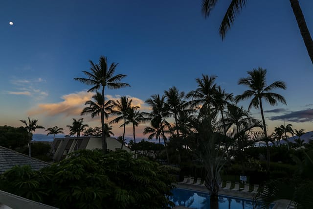 Palm tree silhouettes line pool at dusk from lanai.