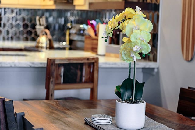 Yellow orchid on dining table.
