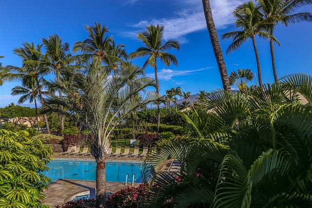 View from lanai of pool with lounge chairs, surrounded by palm trees
